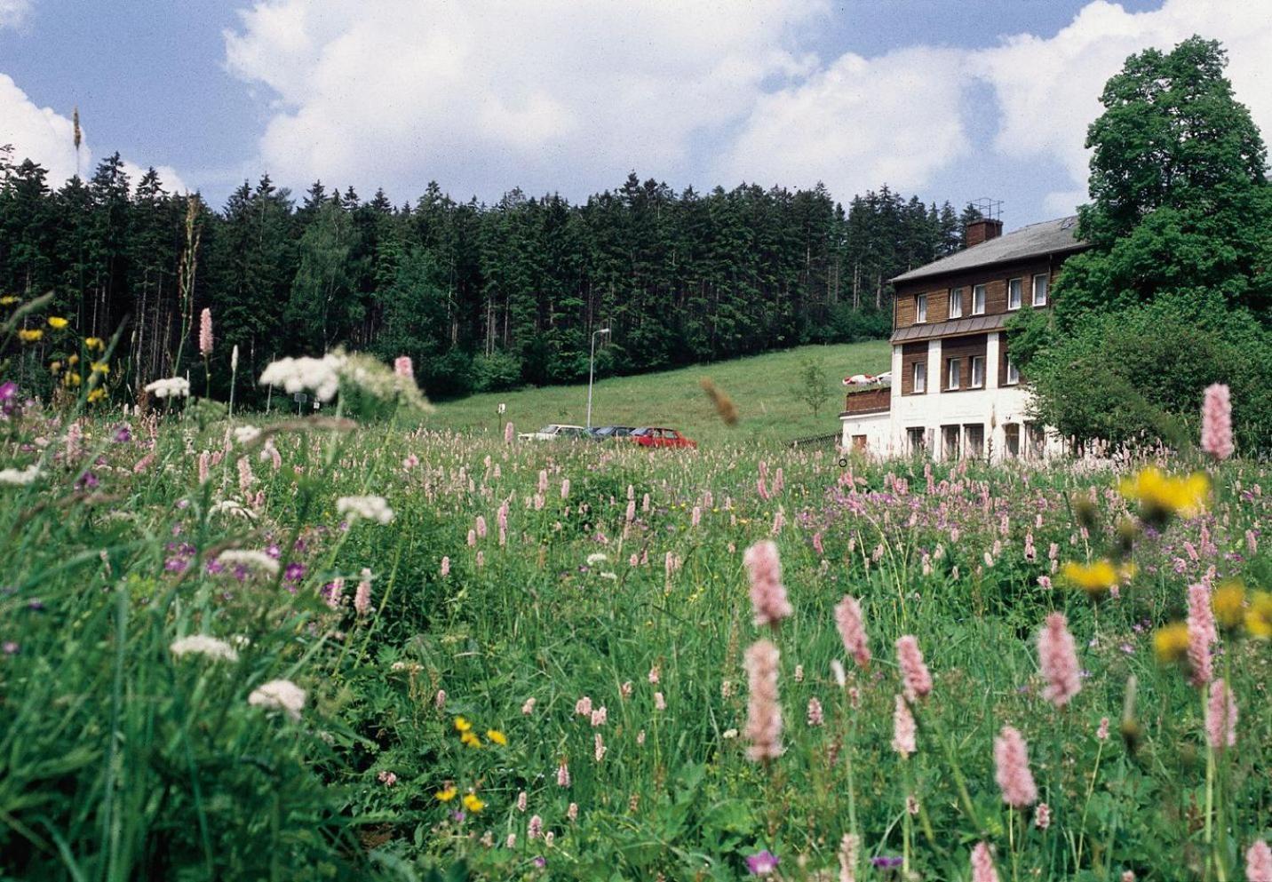 Landhaus Bergidyll Bärenstein Екстериор снимка