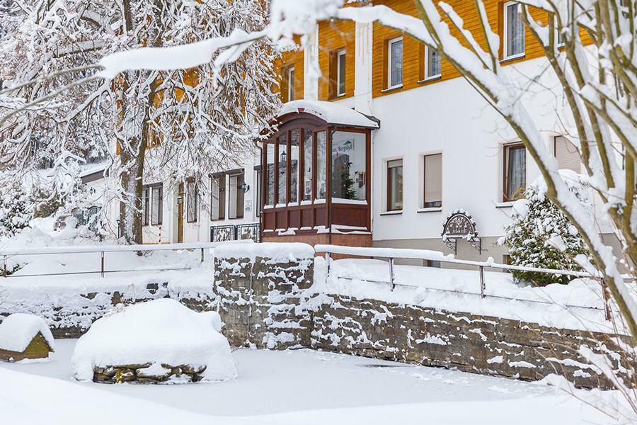 Landhaus Bergidyll Bärenstein Екстериор снимка