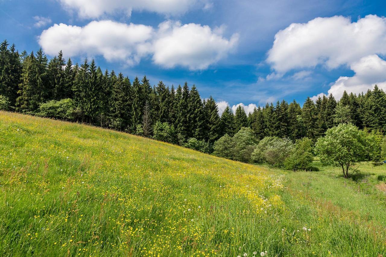 Landhaus Bergidyll Bärenstein Екстериор снимка
